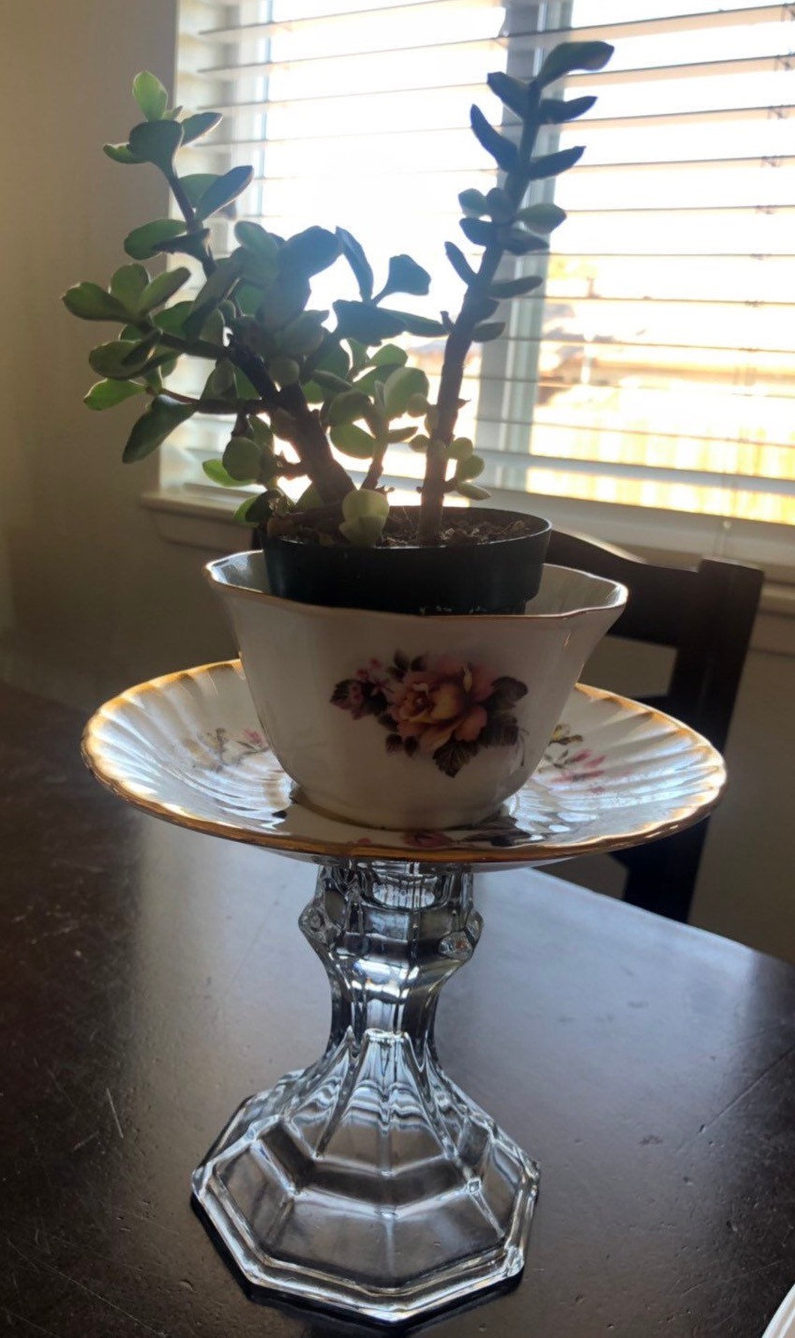Teacup and saucer planter Etsy