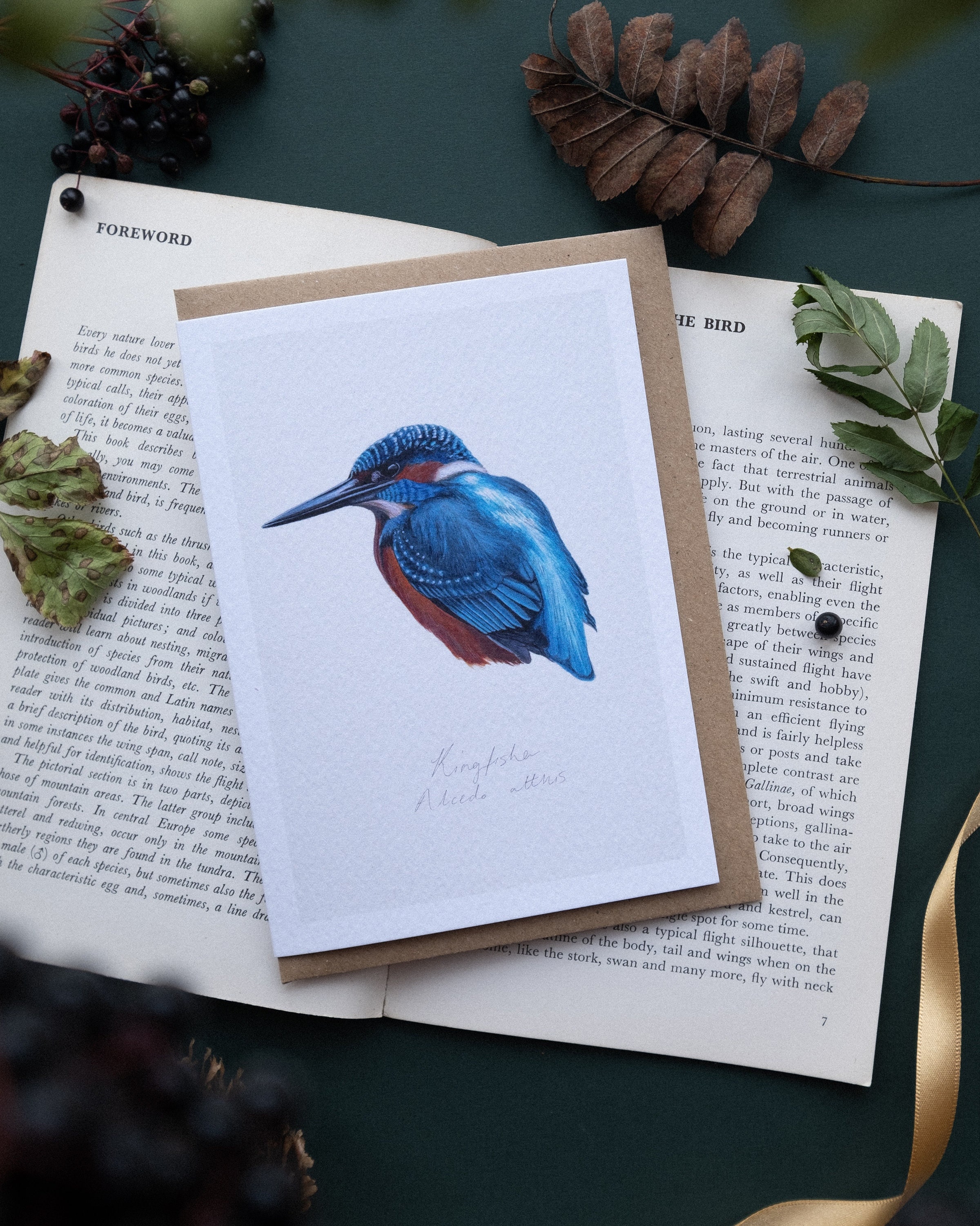 Eisvogel Aquarell Karte Ei innen bemalt Minimal Wildlife Vogel Karte A6 GrußkarteVogelkarte