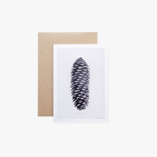 Norway Spruce Cone Card- Fine Art Card- A6-Graphite Botanical Art Drawing- Eco friendly- Greetings Card-Blank Inside
