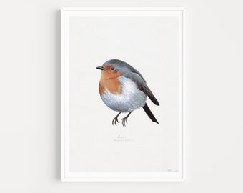 The Robin- Giclée Fine Art Print of an Original Watercolour Painting by Lucy Meriel Davies- A5/A4/A3- MADE TO ORDER- Unframed