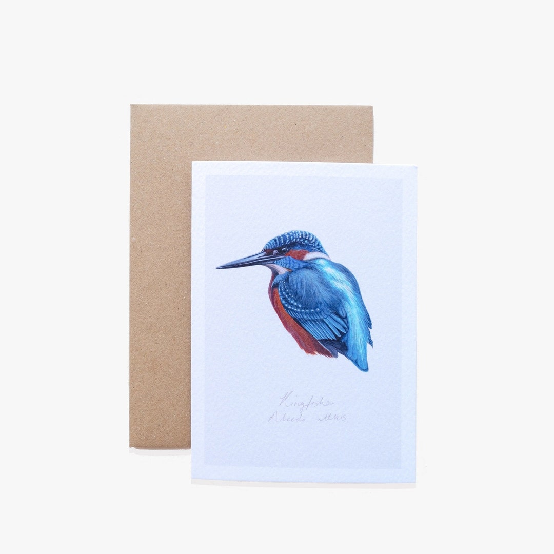 Eisvogel Aquarell Karte Ei innen bemalt Minimal Wildvogel Karte A6 Grußkarte Vogel Karte Innen