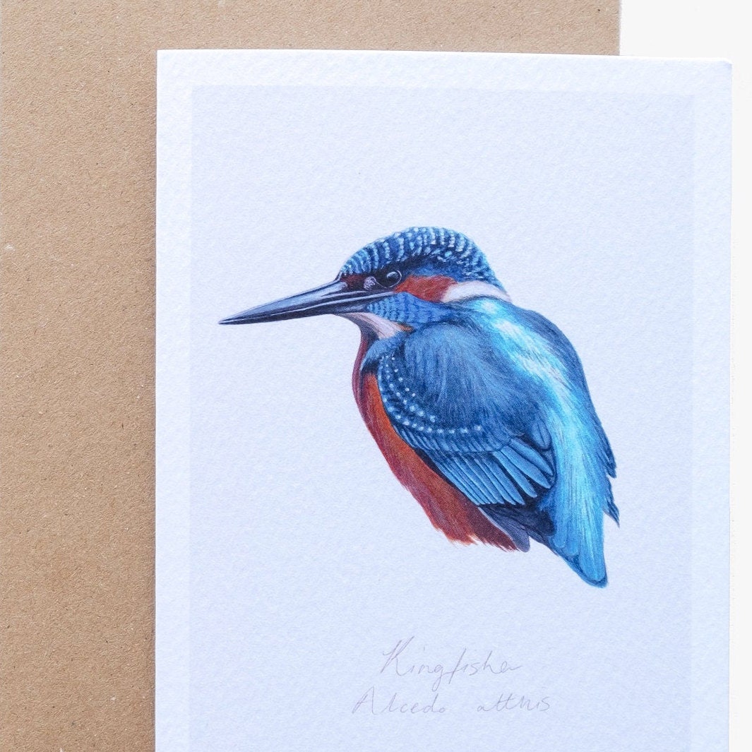 Eisvogel Aquarell Karte Ei innen bemalt Minimal Wildvogel Karte A6 Grußkarte Vogel Karte Innen