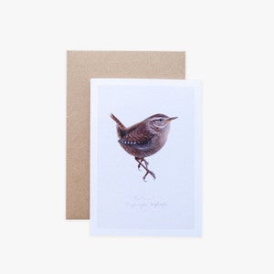Op de afbeelding: Een aquarel illustratie van een winterkoninkje, een kleine bruine vogel, op een witte kaart. De vogel heeft een gestreepte kop en kijkt naar rechts. Een bruine envelop bevindt zich achter de kaart. De tekst "Troglodytes troglodytes" staat eronder.