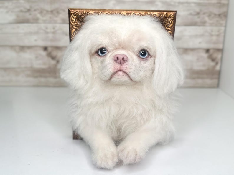 May include: A handcrafted needle felted sculpture of a white Pekingese dog with light blue eyes and a pink nose. The dog is positioned in front of a rectangular, ornate, metallic bronze-coloured picture frame with intricate embossed detailing.