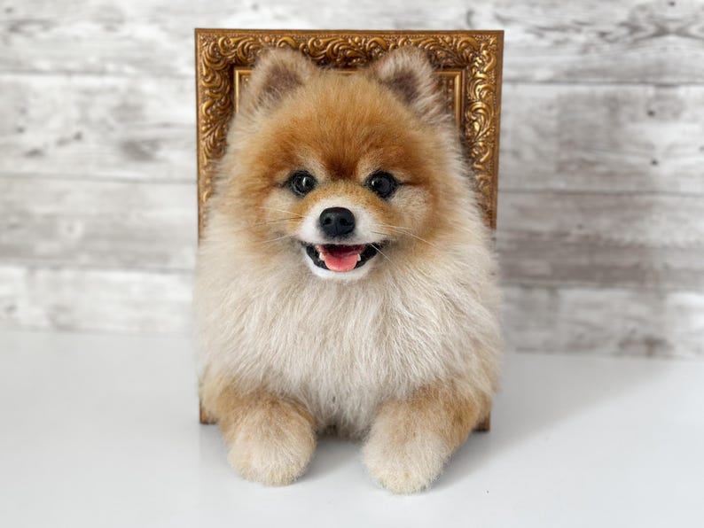 May include: A needle felted Pomeranian dog sculpture with tan and cream fur, black eyes, and a black nose, positioned in front of a small, ornate, rectangular gold-coloured picture frame with intricate carved detailing along the edges.