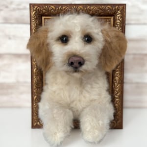 May include: A needle-felted sculpture of a cream-coloured dog with light brown ears and a pink nose, positioned as if emerging from a rectangular, ornate, antique-style bronze-coloured picture frame with intricate scrollwork detailing.