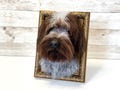 Pet portrait from photo, pet memorial ornament, dog felted pet portrait, pet loss gift, felt animals replica, custom made pet bust product logo