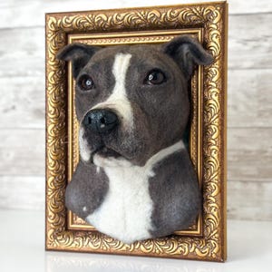 May include: A three-dimensional needle felted sculpture of a grey and white pit bull dog head mounted inside an ornate, rectangular gold-coloured frame. The dog has dark eyes, a black nose, and a white stripe running from its forehead to its chest.