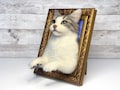 Cat portrait, Custom Cat Portrait, 3D Felt Cat , Personalized Cat Portrait, Pet Memorial, Cat Loss Gift, Pet Remembrance, Realistic cat product logo