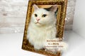 Cat portrait, Custom Cat Portrait, 3D Felt Cat , Personalized Cat Portrait, Pet Memorial, Cat Loss Gift, Pet Remembrance, Realistic cat product logo