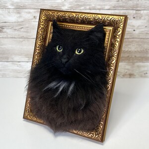 May include: A three-dimensional wall art piece featuring a realistic, fluffy black cat head with bright yellow-green eyes and a small patch of white fur on the chest, mounted inside an ornate, rectangular, metallic gold-colored picture frame.