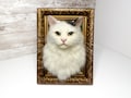 Cat portrait, Custom Cat Portrait, 3D Felt Cat , Personalized Cat Portrait, Pet Memorial, Cat Loss Gift, Pet Remembrance, Realistic cat product logo