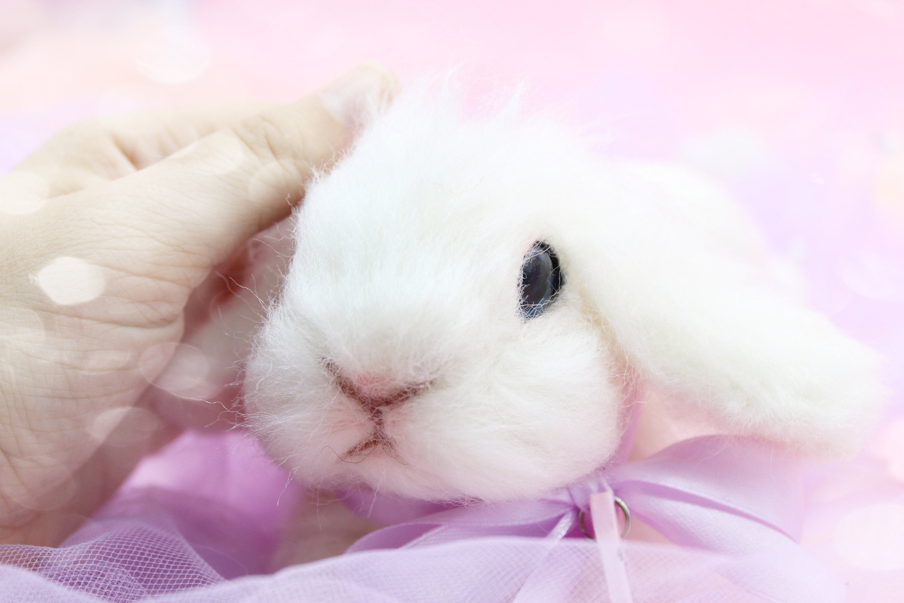 Bunny Portrait, Needle Felted Bunny Pet Replica, Realistic Rabbit ...