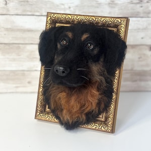 May include: A needle-felted dog head sculpture mounted inside a rectangular, ornate gold-coloured frame. The dog has black fur on its ears and muzzle, with brown fur on its chest and around its eyes, featuring dark eyes and a black nose.