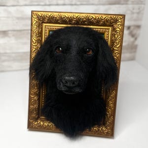 May include: A three-dimensional wall sculpture of a black dog head with long, soft fur and brown eyes, mounted inside a rectangular, ornate, metallic gold-coloured frame with intricate embossed scrollwork patterns along the border.