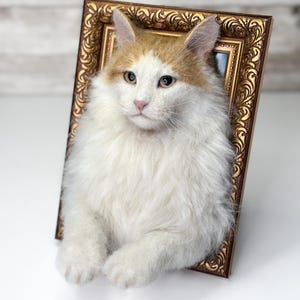 May include: A needle-felted sculpture of a long-haired cat with white and ginger fur, positioned within an ornate, rectangular, metallic bronze-colored picture frame. The cat has a white face, ginger ears, and white paws resting on the frame edge.