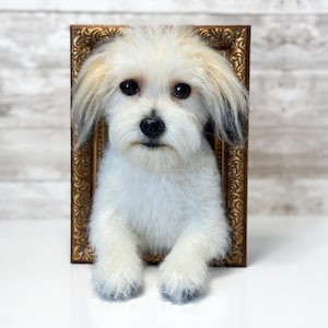 May include: A plush dog figurine with white fur and dark-tipped ears, positioned inside a rectangular, ornate, metallic bronze-coloured picture frame. The dog has dark, round eyes and a black nose, with its front paws resting at the bottom edge.