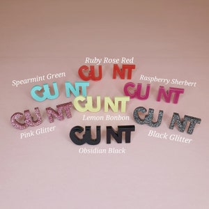 Cunt Earrings. Handmade Stud Acrylic Earrings. Various Colours Available. Sweary Jewellery. Gift.