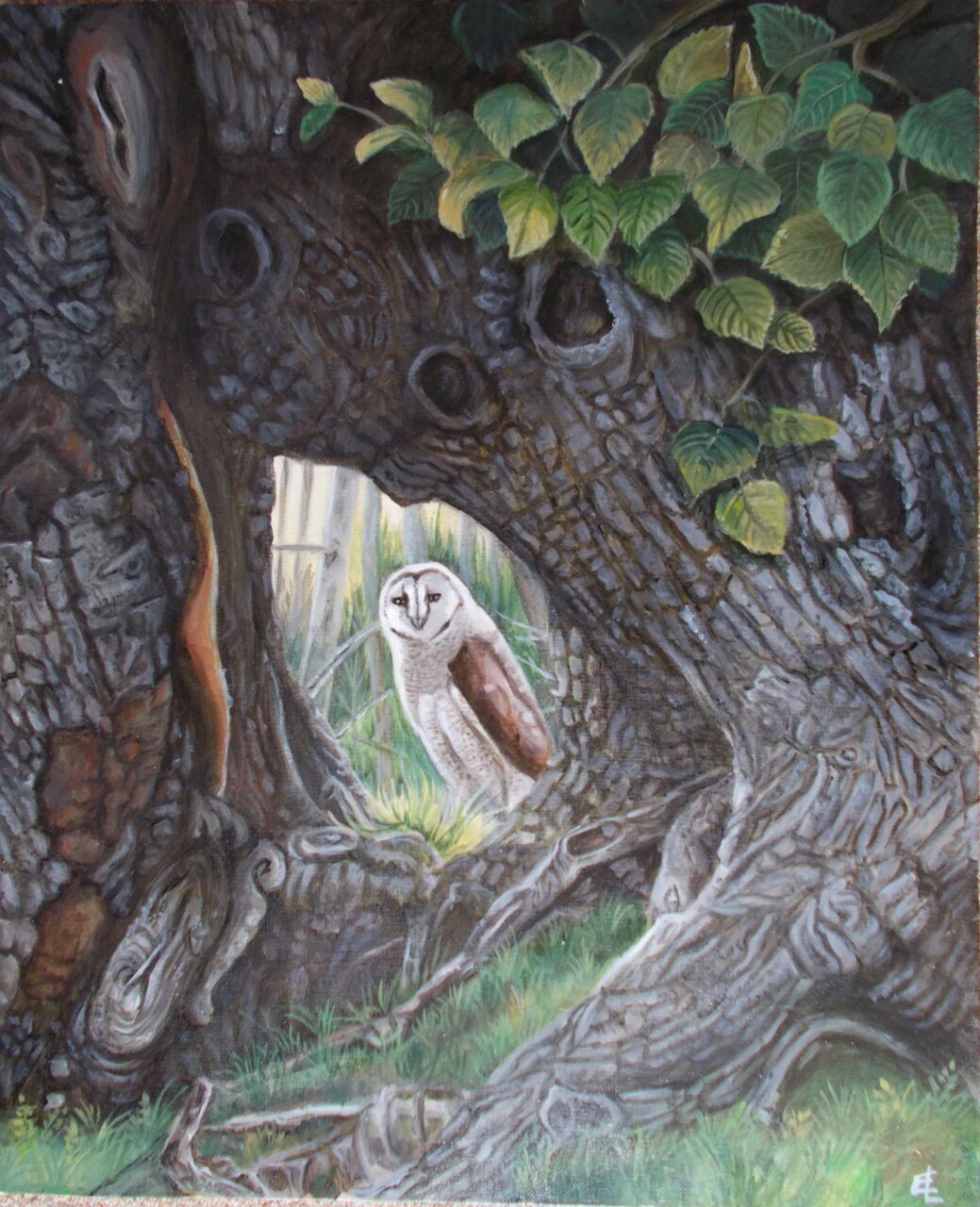 L'arbre et L'effraie