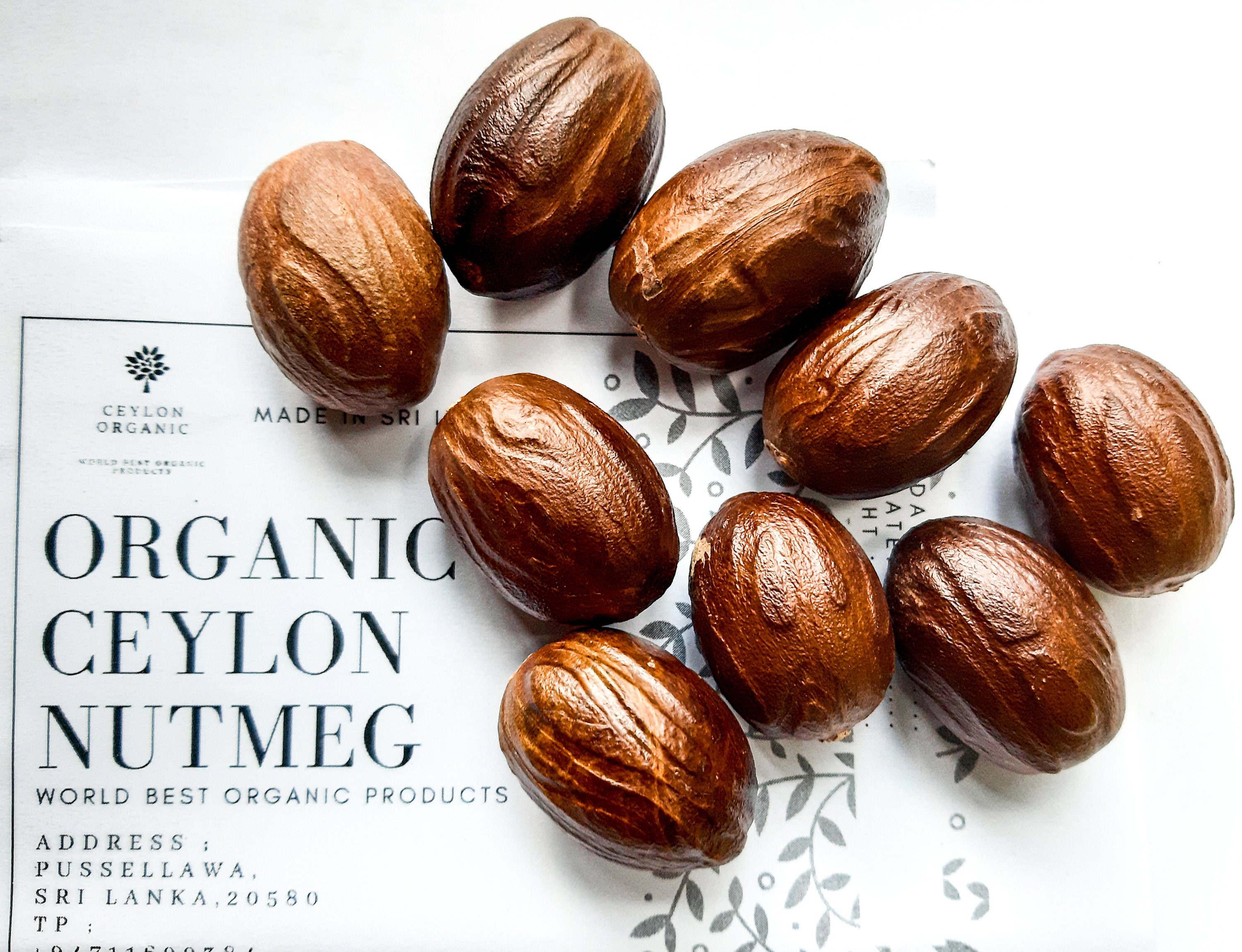 Organic Nutmeg Wild Harvested Natural Nutmeg NutMeg Spice Etsy