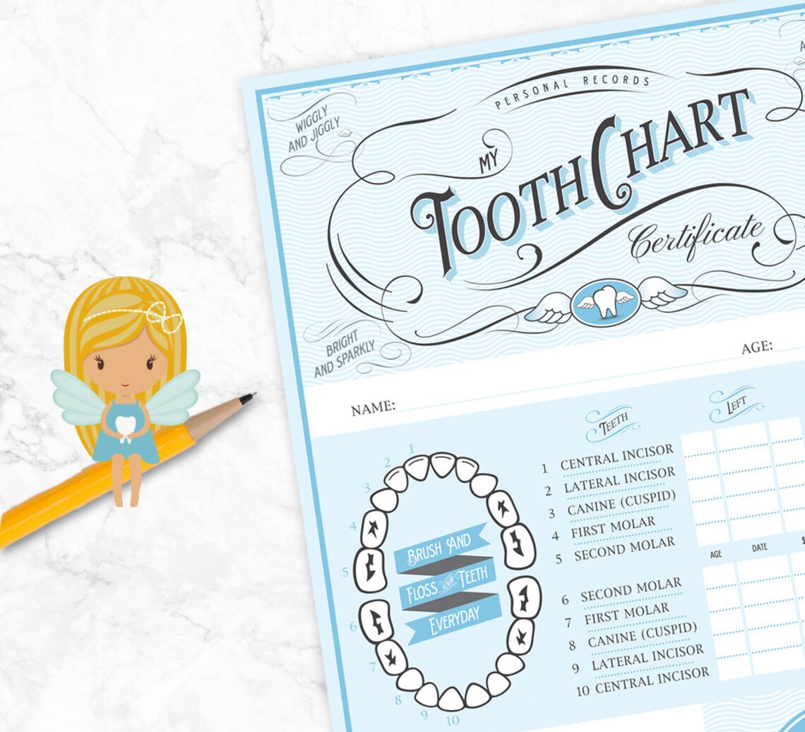 Zahnfee Geschenkset Für Kinder - Mit Münze, Urkunde Und Herz-Anhänger