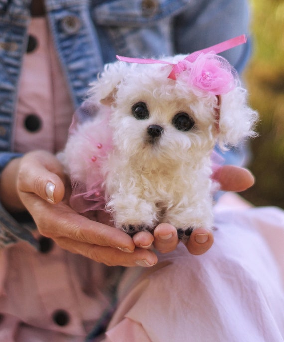 stuffed maltese puppy