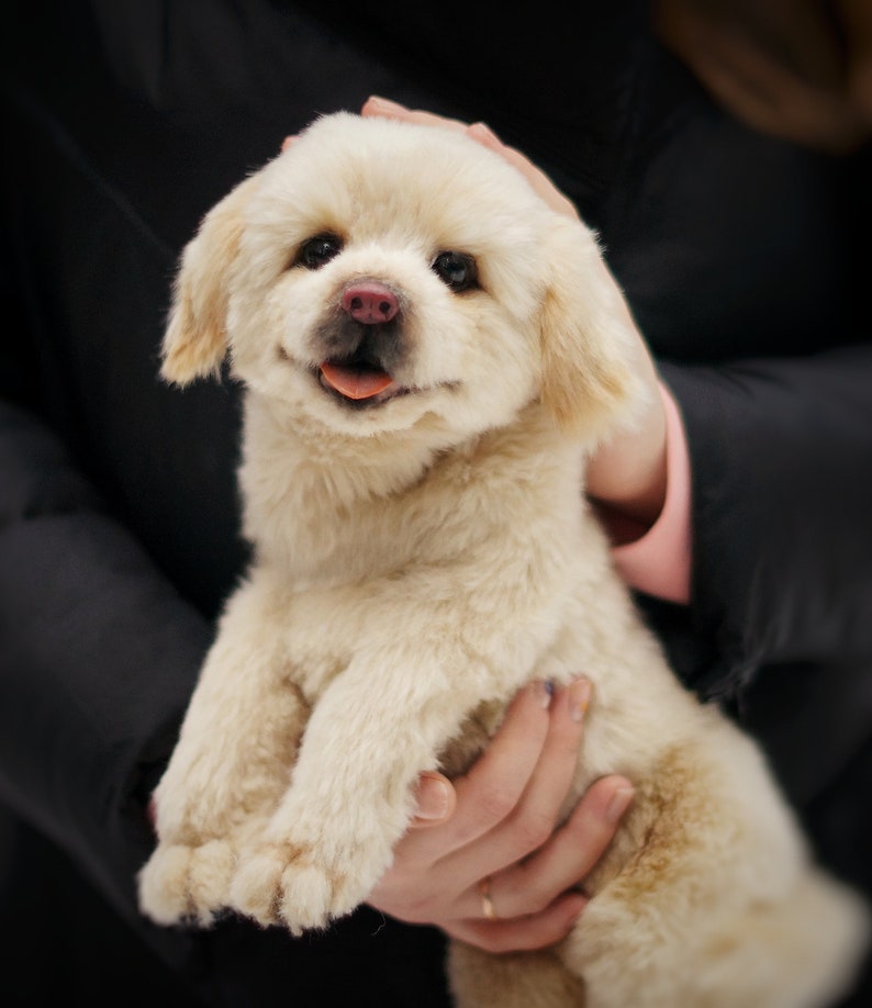 plush dog puppy stuffed animal ooak dog dog replica soft sculpture stuffed dog golden retriever