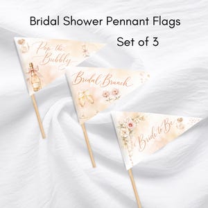 May include: Set of three pennant flags for a bridal shower. Each flag features watercolor illustrations and text: "Pop the Bubbly," "Bridal Brunch," and "Bride to Be." The flags are triangular, with wooden dowel rods.