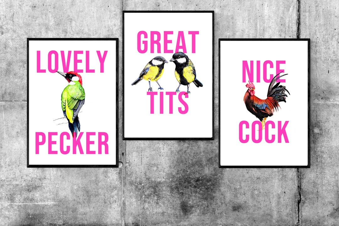 Set of 3 Illustrated Bird Prints Funny Wall Art Funny Home Decor Funny