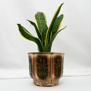 May include: A snake plant in a decorative ceramic pot. The plant has green and yellow striped leaves. The pot is brown, green, and beige with a repeating floral pattern. The pot is approximately 15 cm tall.