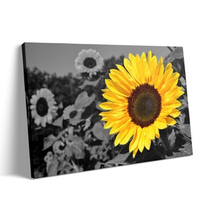 Sunflower Canvas Wall Art: Black and White Floral Kitchen Decor