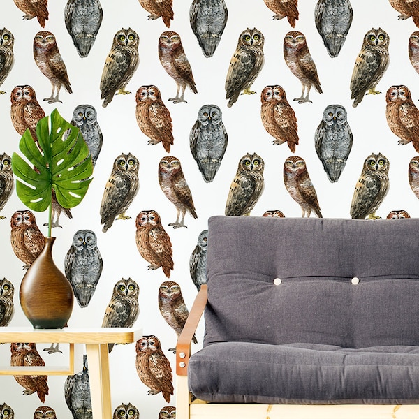 White wallpaper with small realistic owl pattern, self adhesive, peel and stick wall mural