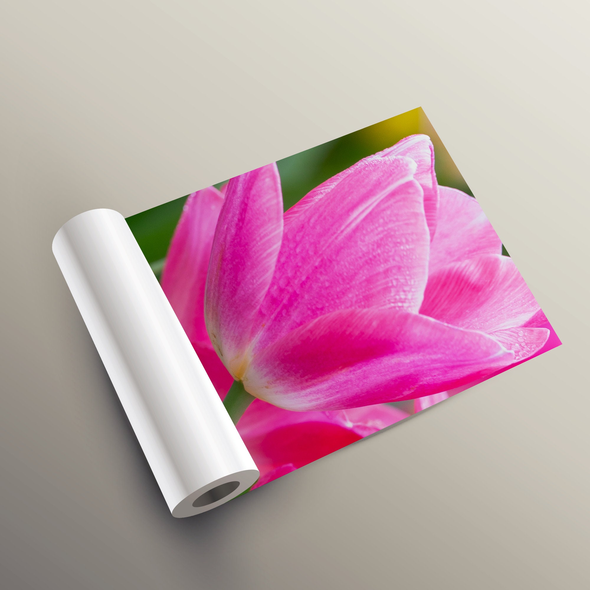 Dutch Pink Tulip Field Botanical Wallpaper Self Adhesive | Etsy