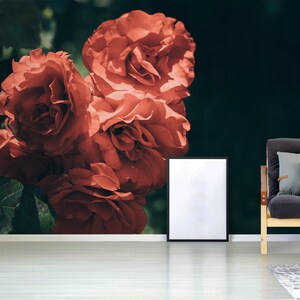 Photo wallpaper with red roses || peel and stick floral wall mural