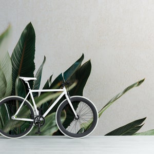 Tropical leaves wallpaper, self adhesive, peel and stick wall mural