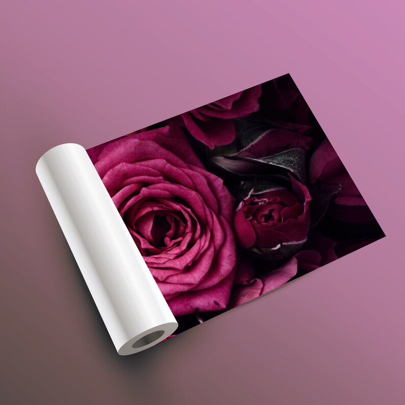 Pinkish Red Roses Photo Wallpaper Peel and Stick Floral Etsy