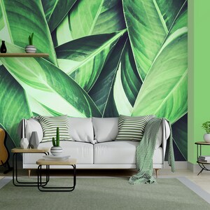 Photo wallpaper with green tropical leaves, self adhesive, peel and stick floral wall mural