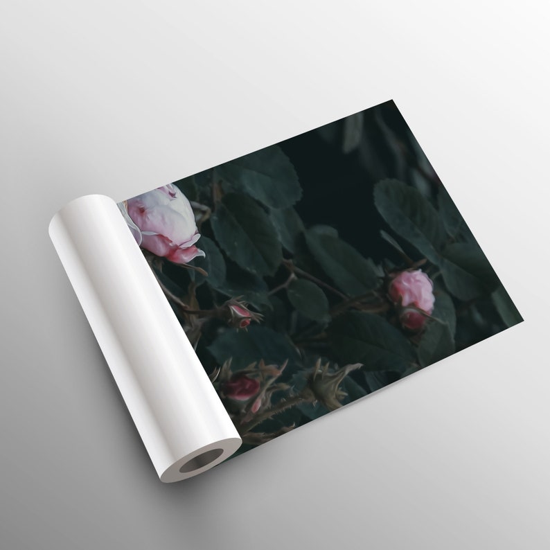 Green Vintage Wallpaper With Pink Roses Peel and Stick Etsy