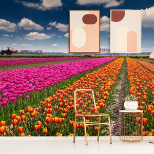 Colorful tulip farm wallpaper || peel and stick floral wall mural