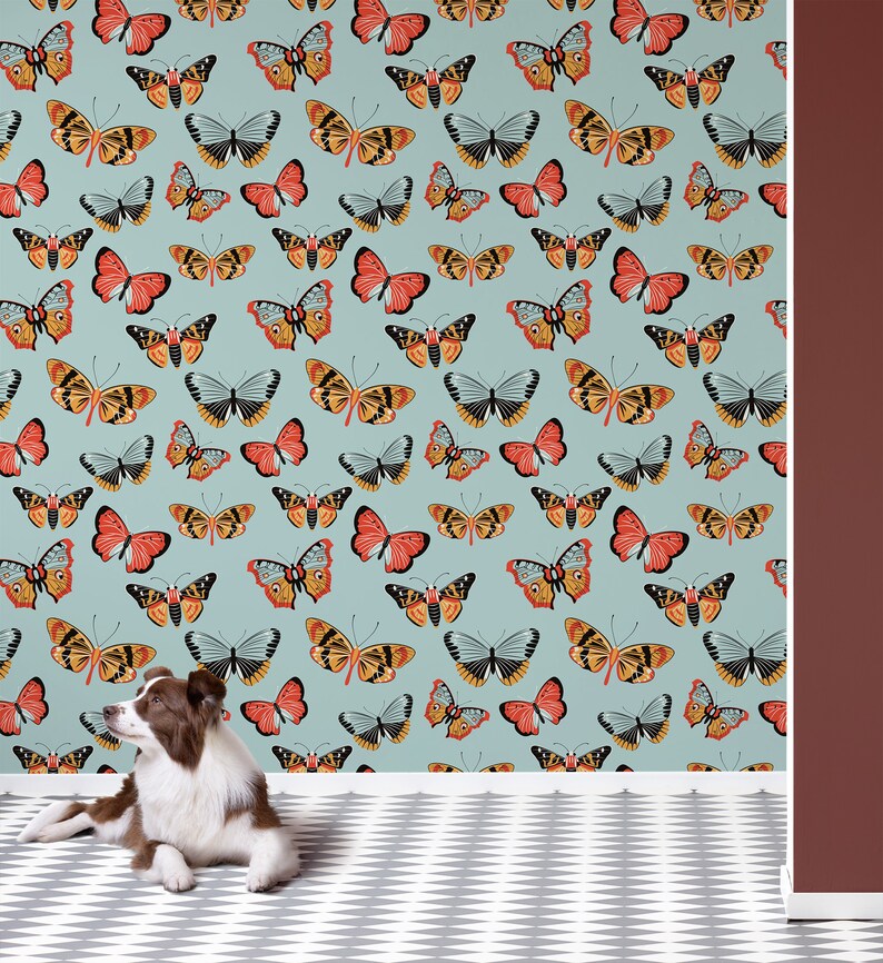 May include: A light blue wallpaper with a repeating pattern of colorful butterflies. The butterflies are in various shades of orange, yellow, red, and brown. The wallpaper is shown in a room with a white floor and a red wall.