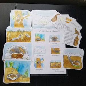 May include: A set of colorful illustrated cards depicting different winter animal homes, including a turtle den, bear cave, polar bear den, raccoon burrow, squirrel nest, and insect burrow. The cards are labeled with the name of each animal home and include a short description of the animal's winter habitat. The cards are perfect for teaching children about winter animals and their homes.