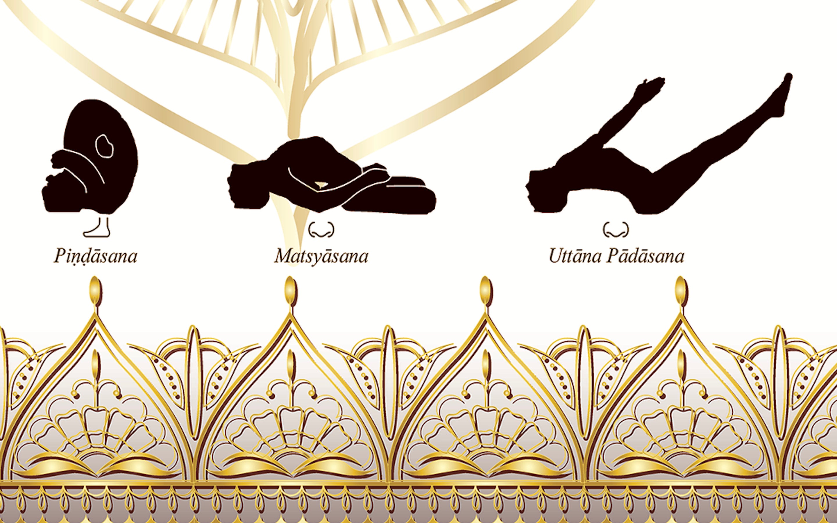 アシュタンガヨガポスター - ホワイト＆ゴールド - プライマリー
