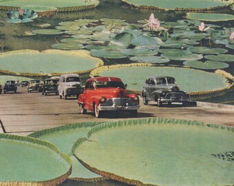 Lily Pad Highway - Collage Art Print