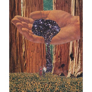 Magic Forest - Collage Art Print