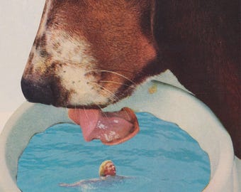 Lap Pool - Collage Art Print