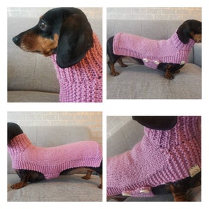 New BDD Turtle Neck Jumper for Miniature Dachshund Dog & PUPPY Chunky Knit Knitted Jumper Chillax Autumn XMAS Present image 3