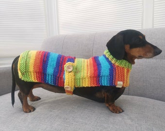 austin powers dog costume