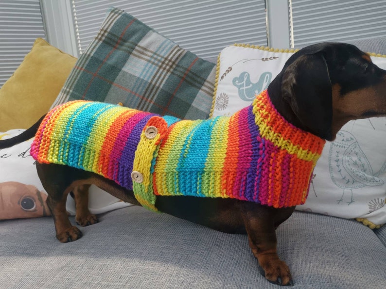 Handmade Miniature Dachshund Dog Knit Knitted Jumper Multi Etsy