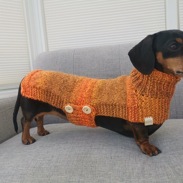 New BDD Turtle Neck Jumper for Miniature Dachshund Dog & PUPPY Chunky Knit Knitted Jumper - 'BONFIRE' Halloween Weenie!