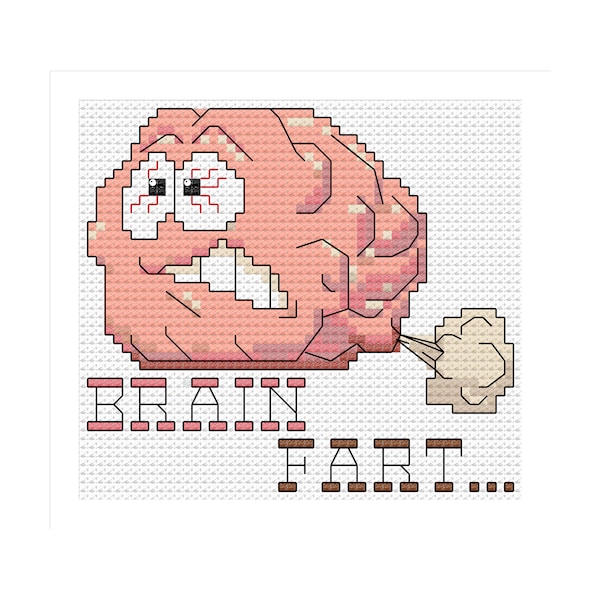 BelDarDesigns 14ct Cross Stitch Kit or Pattern download - know anyone who has a "Brain Fart" Gift, Snarky, birthday Christmas Xmas gift